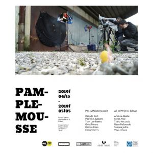 Pamplemousse