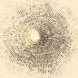 «Seminario Serantes» día 1 (11 de junio, 2019)